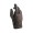 Vorschau: gms Handschuhe Florida Vorschau: gms Handschuhe Florida